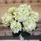 20" Green Hydrangea Bush - 7 Sprays, UV Resistant Silk Flowers, Lifelike Artificial Floral, Perfect for Home, Patio & Wedding Décor - Spring & Summer Accents, Floral Home by Artificial Flowers